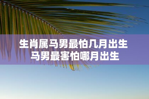生肖属马男最怕几月出生 马男最害怕哪月出生