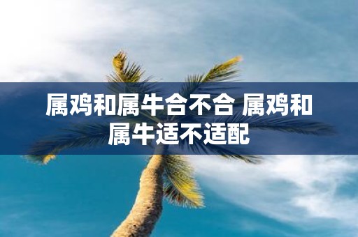 属鸡和属牛合不合 属鸡和属牛适不适配