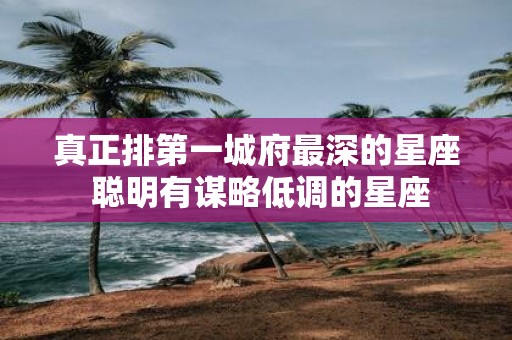 真正排第一城府最深的星座 聪明有谋略低调的星座