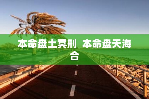 本命盘土冥刑 本命盘天海合