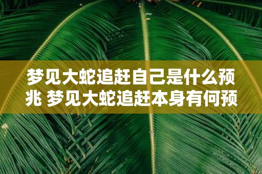 梦见大蛇追赶自己是什么预兆 梦见大蛇追赶本身有何预兆