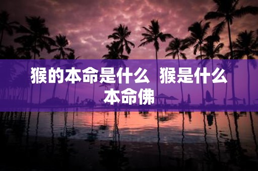 猴的本命是什么 猴是什么本命佛