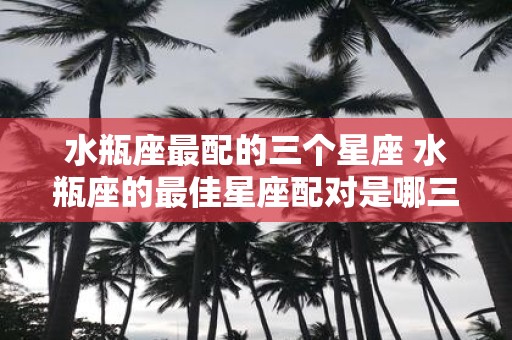 水瓶座最配的三个星座 水瓶座的最佳星座配对是哪三个