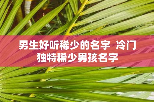 男生好听稀少的名字 冷门独特稀少男孩名字