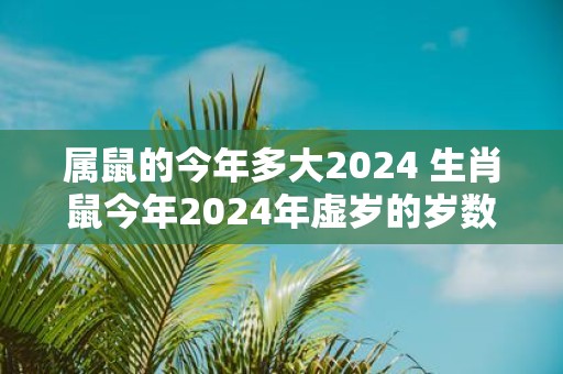 属鼠的今年多大2025 生肖鼠今年2025年虚岁的岁数