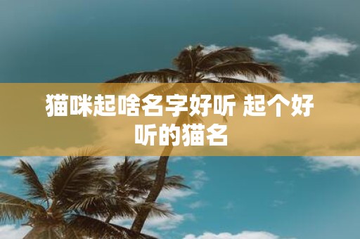 猫咪起啥名字好听 起个好听的猫名