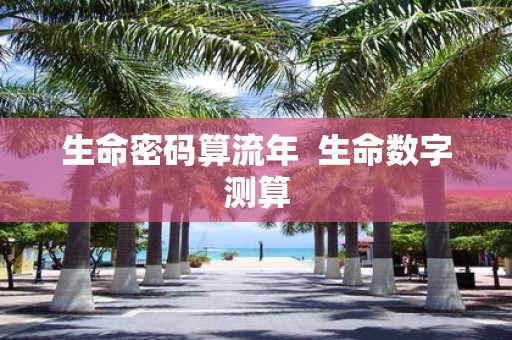 生命密码算流年 生命数字测算