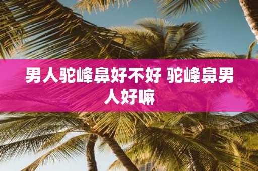 男人驼峰鼻好不好 驼峰鼻男人好嘛