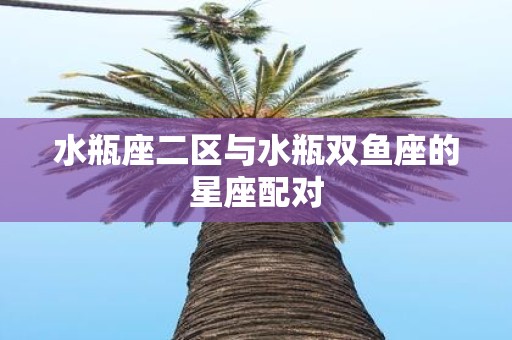 水瓶座二区与水瓶双鱼座的星座配对