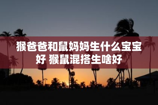 猴爸爸和鼠妈妈生什么宝宝好 猴鼠混搭生啥好