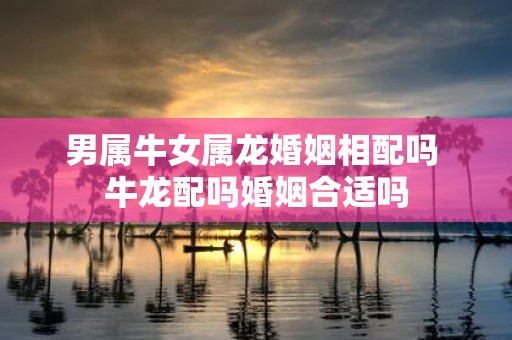 男属牛女属龙婚姻相配吗 牛龙配吗婚姻合适吗