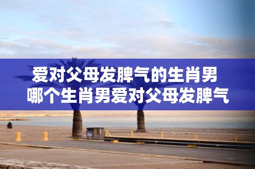 爱对父母发脾气的生肖男 哪个生肖男爱对父母发脾气