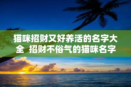 猫咪招财又好养活的名字大全 招财不俗气的猫咪名字