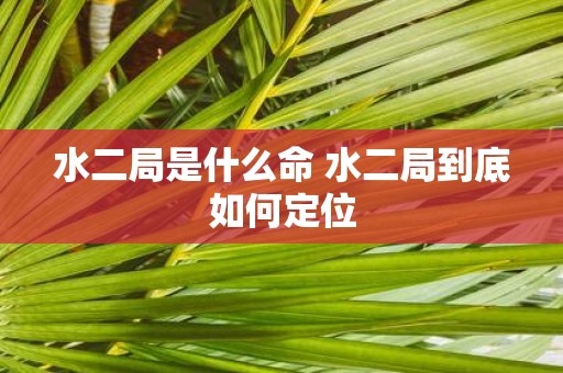 水二局是什么命 水二局到底如何定位