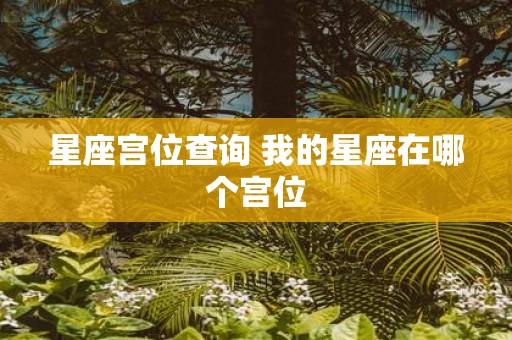 星座宫位查询 我的星座在哪个宫位
