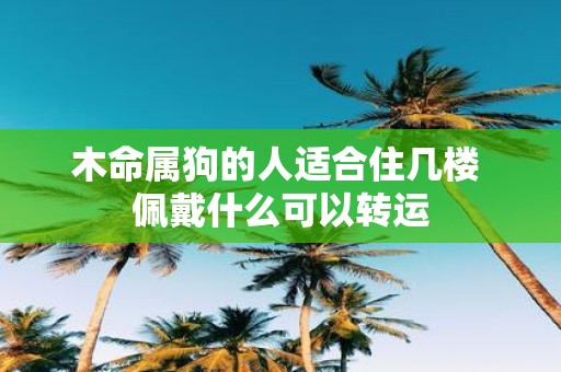 木命属狗的人适合住几楼 佩戴什么可以转运