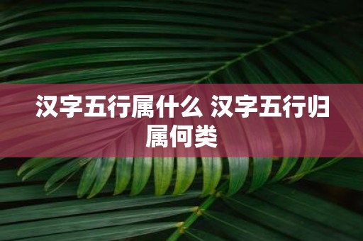 汉字五行属什么 汉字五行归属何类