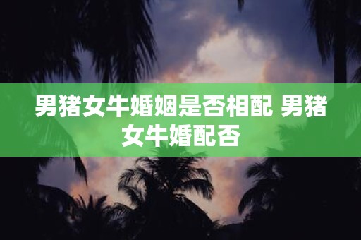男猪女牛婚姻是否相配 男猪女牛婚配否