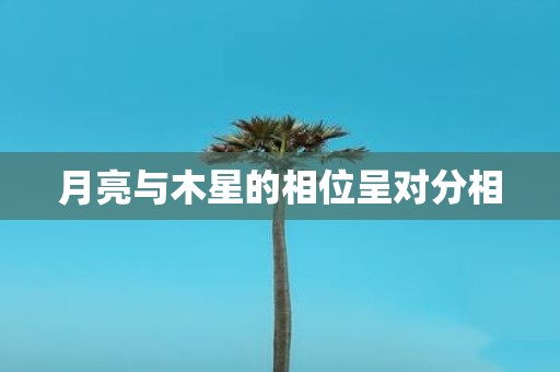 月亮与木星的相位呈对分相