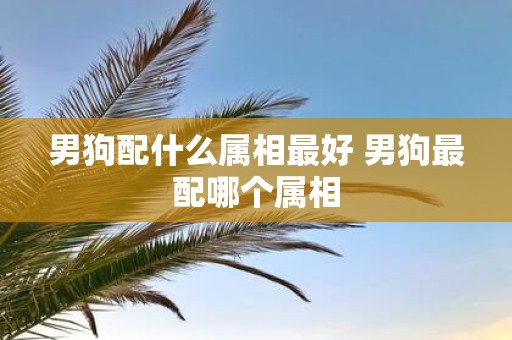 男狗配什么属相最好 男狗最配哪个属相