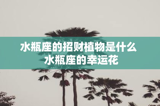 水瓶座的招财植物是什么 水瓶座的幸运花