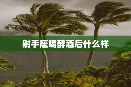 射手座喝醉酒后什么样