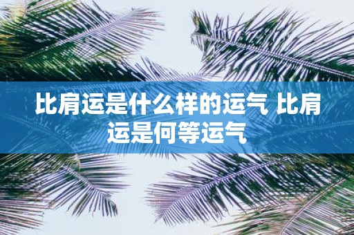 比肩运是什么样的运气 比肩运是何等运气