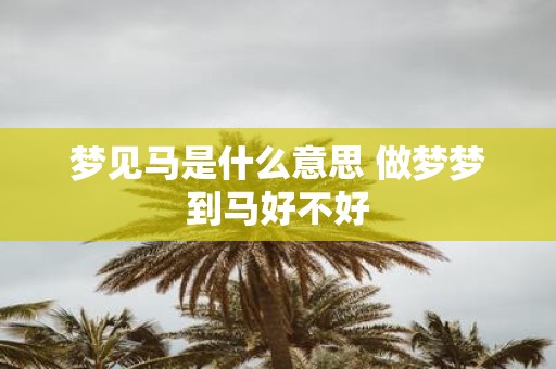 梦见马是什么意思 做梦梦到马好不好