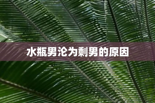 水瓶男沦为剩男的原因