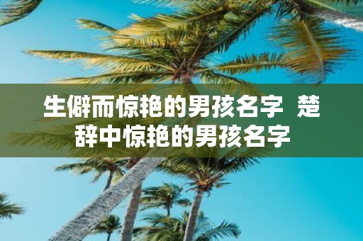 生僻而惊艳的男孩名字 楚辞中惊艳的男孩名字