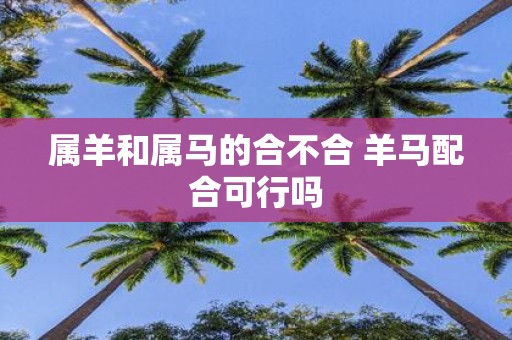 属羊和属马的合不合 羊马配合可行吗