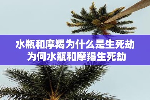 水瓶和摩羯为什么是生死劫 为何水瓶和摩羯生死劫