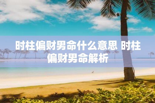 时柱偏财男命什么意思 时柱偏财男命解析