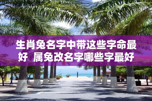 生肖兔名字中带这些字命最好 属兔改名字哪些字最好