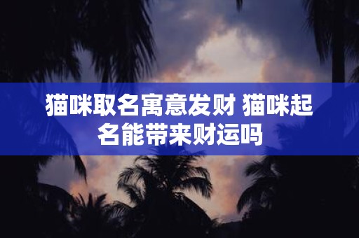 猫咪取名寓意发财 猫咪起名能带来财运吗