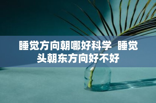 睡觉方向朝哪好科学 睡觉头朝东方向好不好