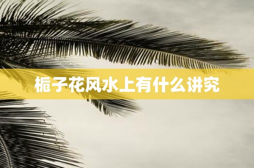 栀子花风水上有什么讲究
