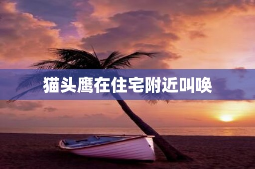 猫头鹰在住宅附近叫唤