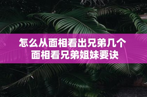怎么从面相看出兄弟几个 面相看兄弟姐妹要诀