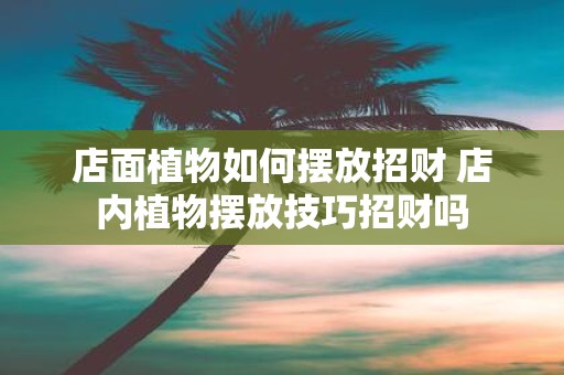 店面植物如何摆放招财 店内植物摆放技巧招财吗