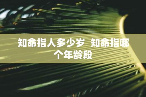 知命指人多少岁 知命指哪个年龄段