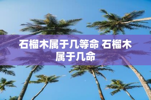 石榴木属于几等命 石榴木属于几命