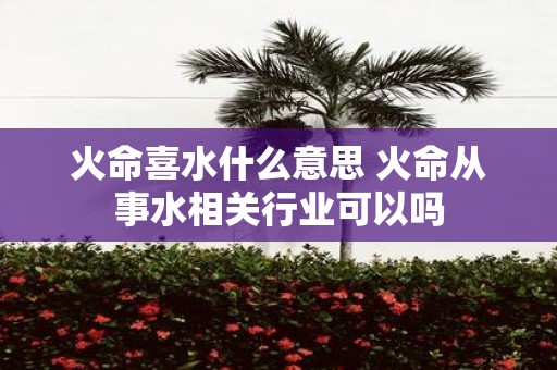 火命喜水什么意思 火命从事水相关行业可以吗