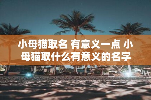 小母猫取名 有意义一点 小母猫取什么有意义的名字