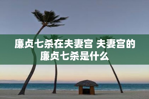 廉贞七杀在夫妻宫 夫妻宫的廉贞七杀是什么