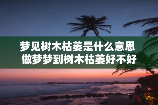 梦见树木枯萎是什么意思 做梦梦到树木枯萎好不好