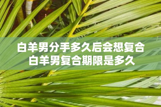 白羊男分手多久后会想复合 白羊男复合期限是多久