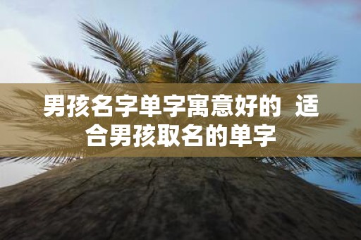 男孩名字单字寓意好的 适合男孩取名的单字