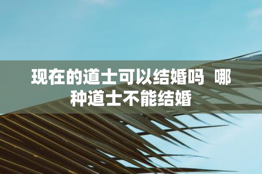 现在的道士可以结婚吗 哪种道士不能结婚