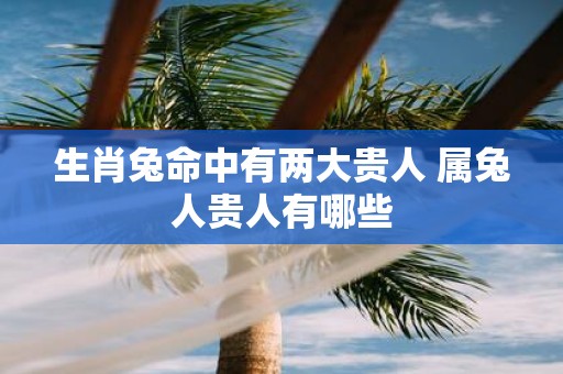 生肖兔命中有两大贵人 属兔人贵人有哪些